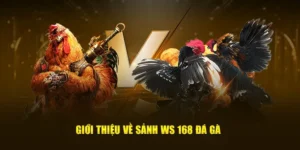 Tham Gia Đá Gà WS168 Tại 188Bet Thắng Lớn Ngay Hôm Nay