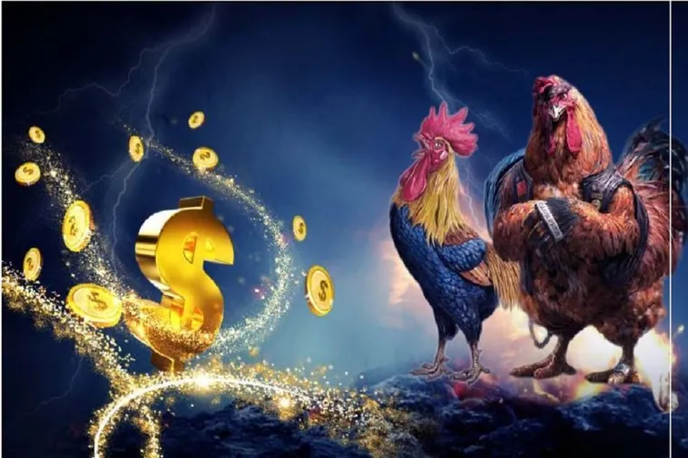 Tham Gia Đá Gà WS168 Tại 188Bet Thắng Lớn Ngay Hôm Nay