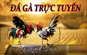 Chinh Phục Đá Gà 3D 188Bet Để Nhận Thưởng Khủng Ngay
