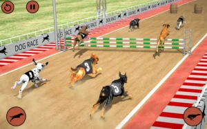 Tham Gia Đua Chó Tại 188Bet Và Thắng Thưởng Lớn Ngay